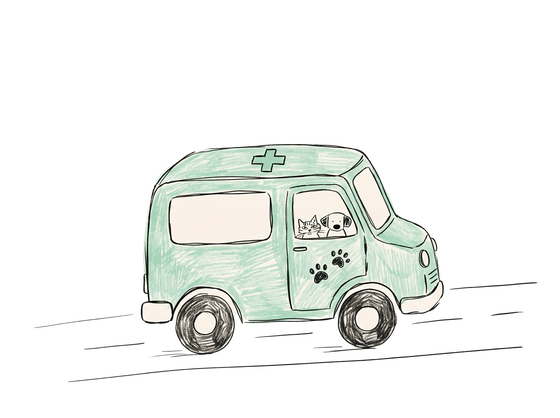 Illustration of the Riverview mobile vet van with a cat and dog in the window