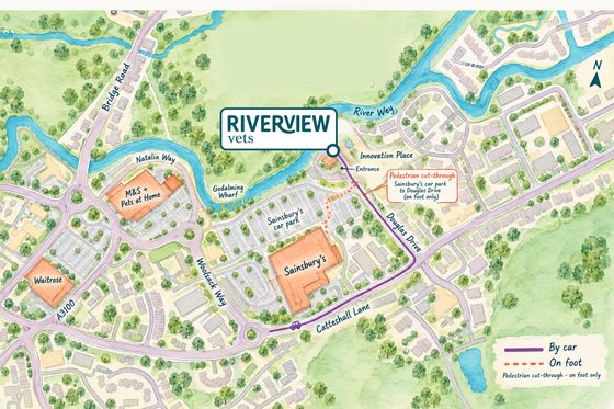 Illustrated map of Godalming showing Riverview Vets at Innovation Place, off Douglas Drive, with the driving route in from Catteshall Lane and a pedestrian cut-through from Sainsbury’s car park