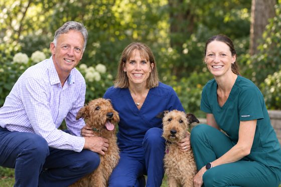 Andrew, Lucy and Susannah outdoors with two Irish terriers